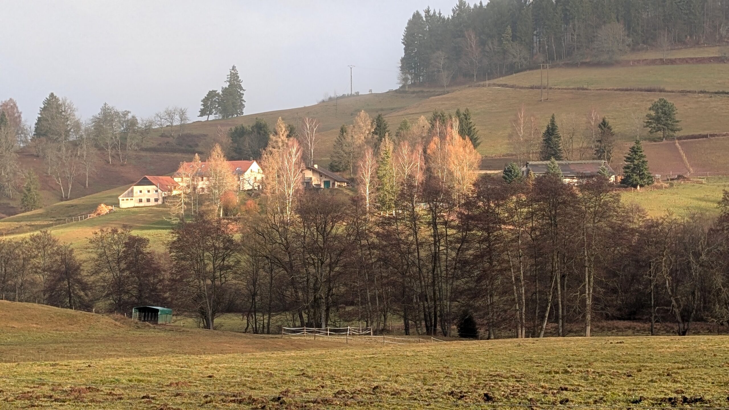 20260124_Potes_05