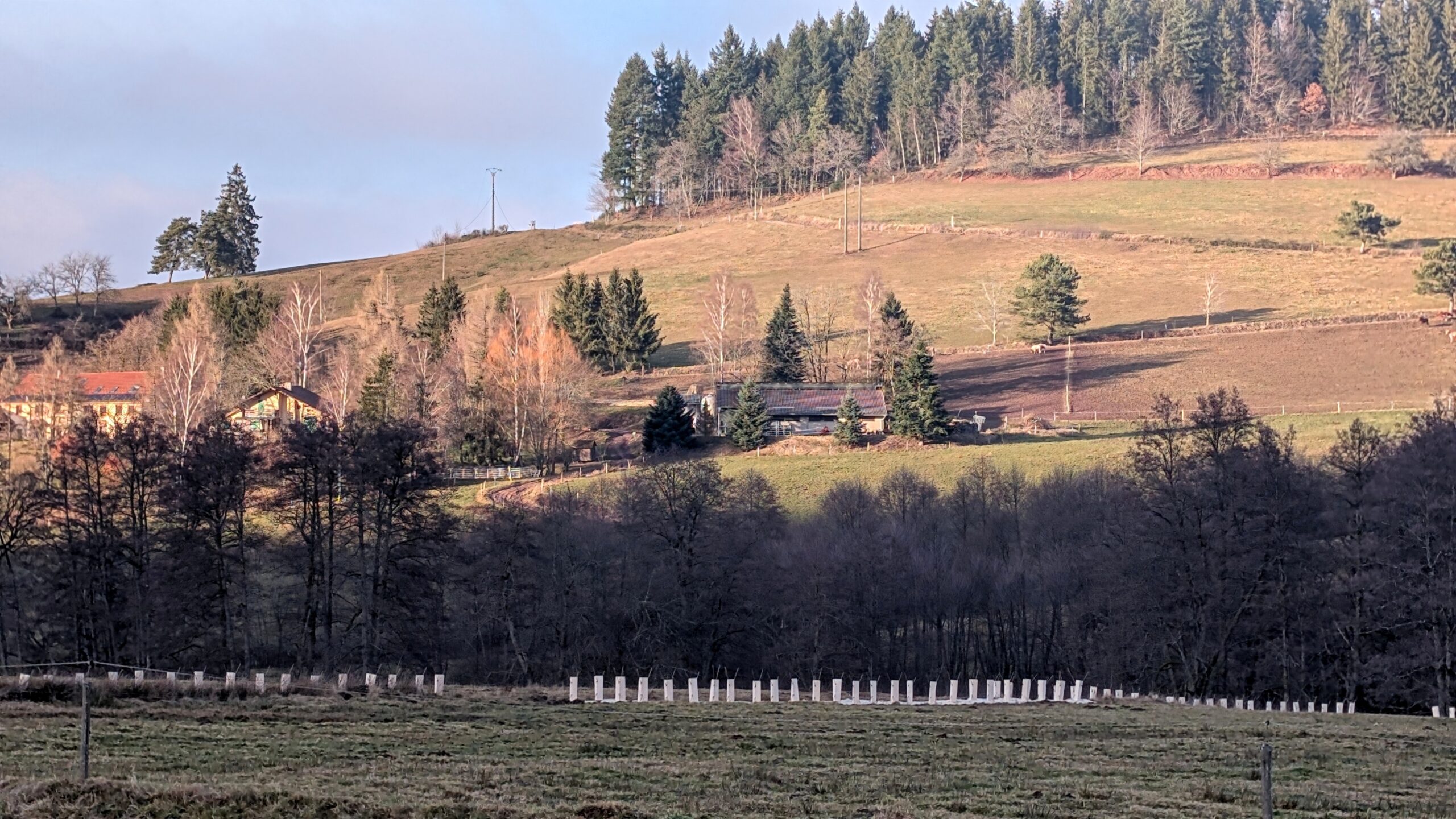 20260124_Potes_22